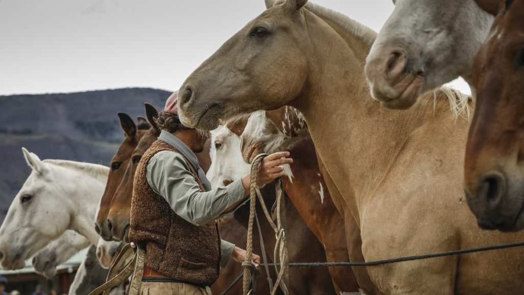 4b. Estancia Cristina – horse riding-3