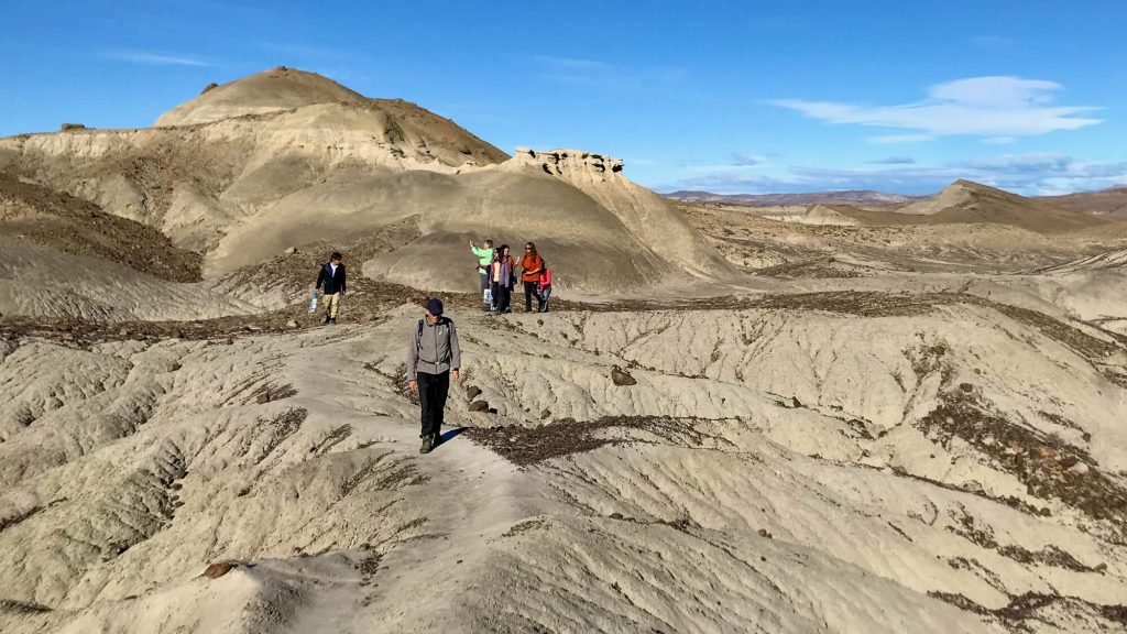 Petrified forest La Leona (1)