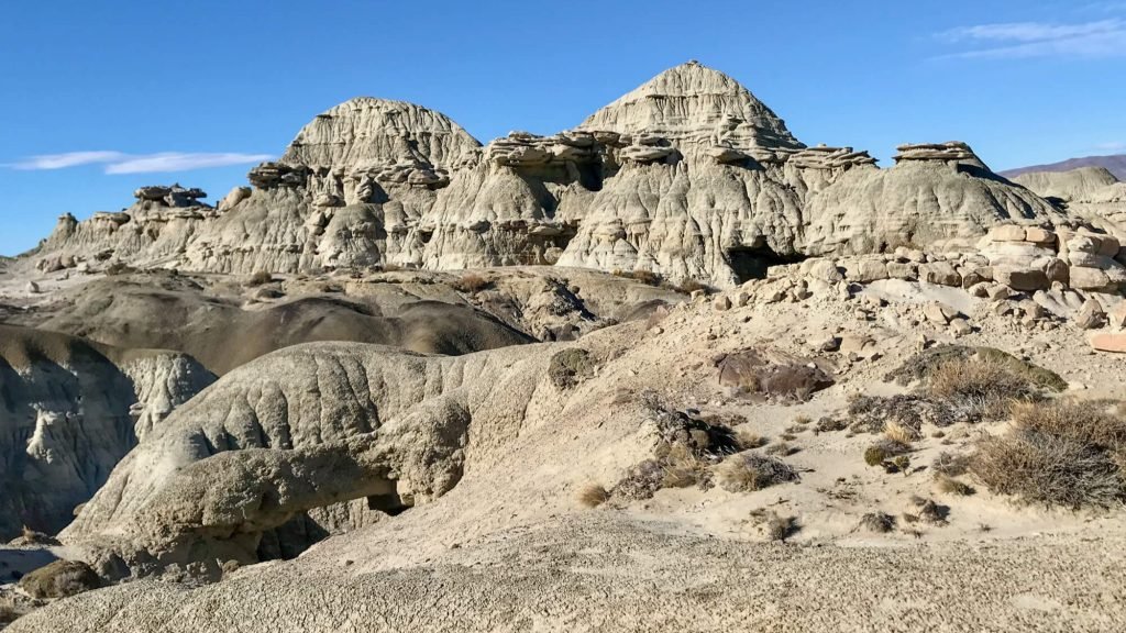 Petrified forest La Leona (3)