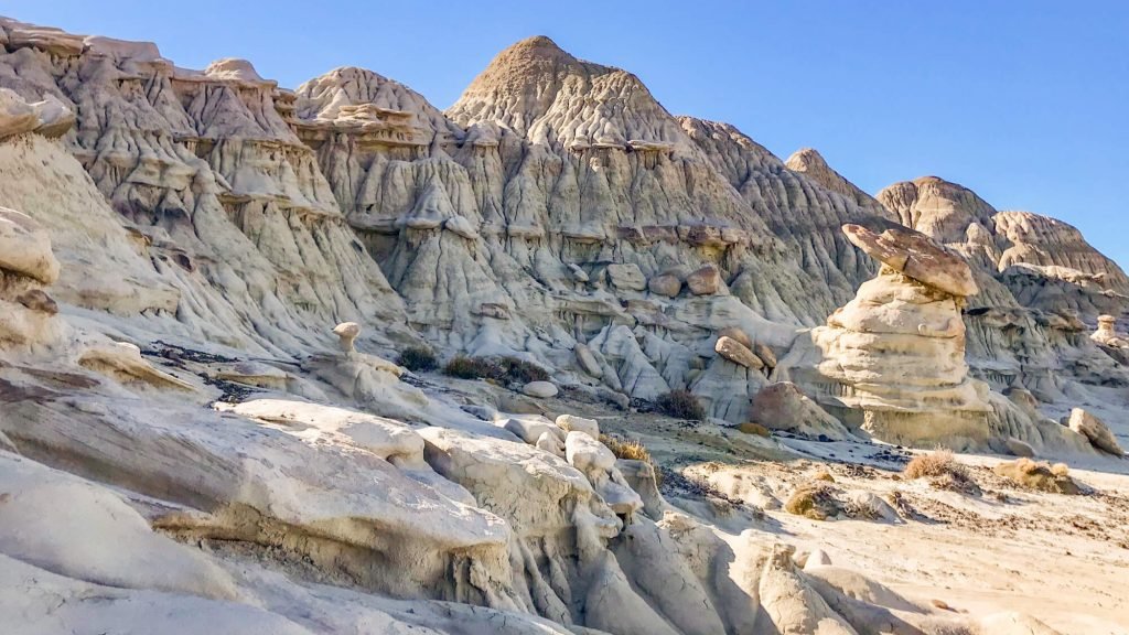 Petrified forest La Leona (7)