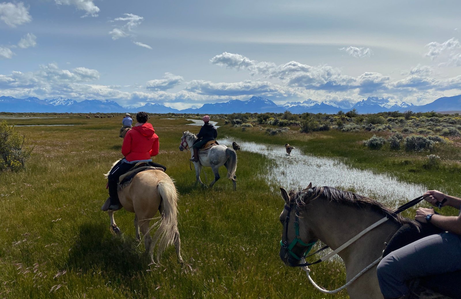 patagonia horse trek