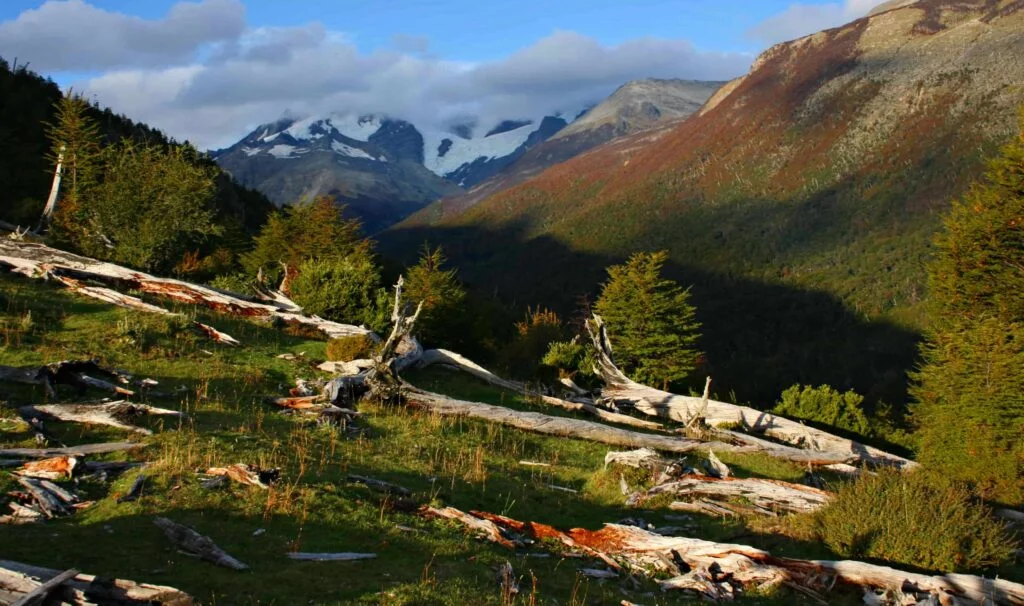 Carretera Austral, Aysen-17-comp