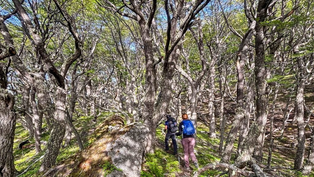 Flori – Loma de las Pizarras (1)