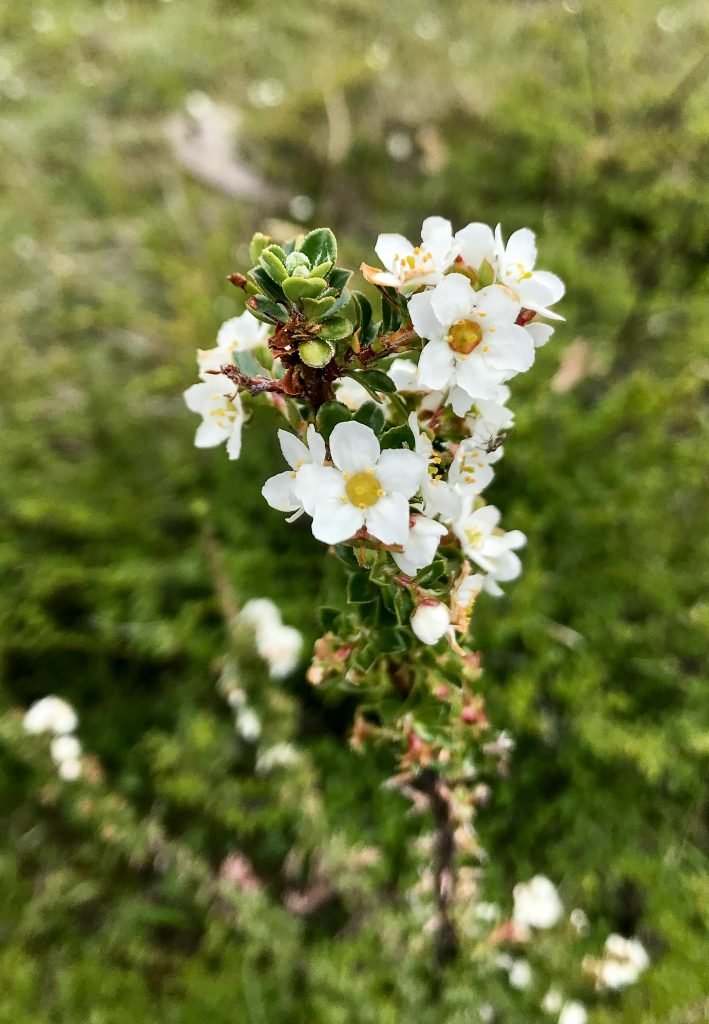 Nature Interpretation (7)