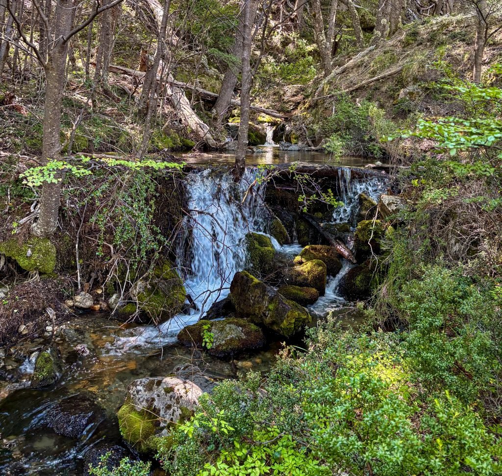 Nature Interpretation (3)