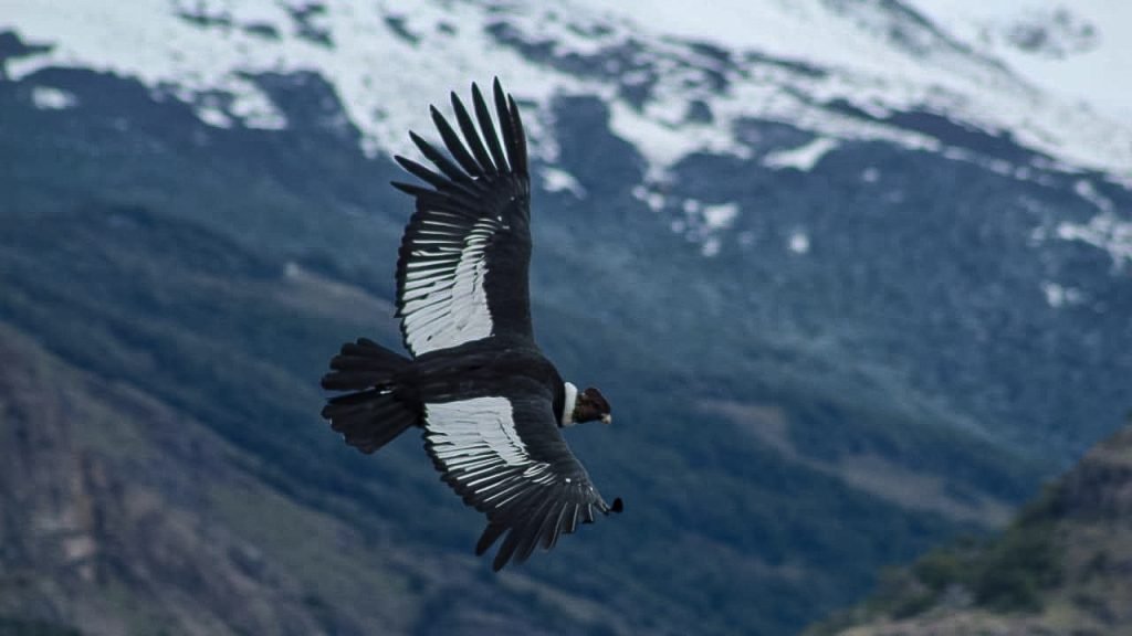 Nature Interpretation (10)