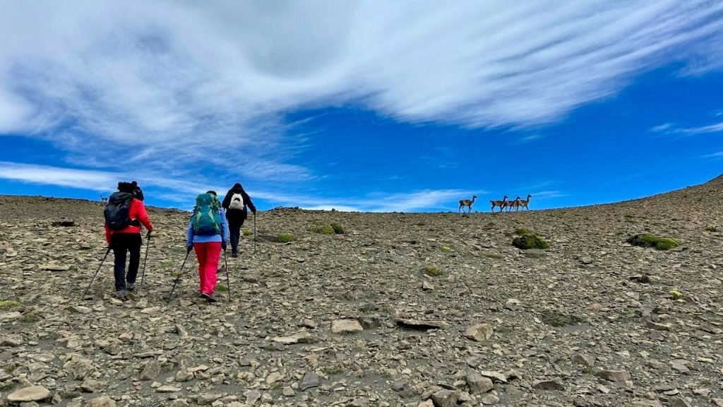 Cerro Frías-1 (portada)