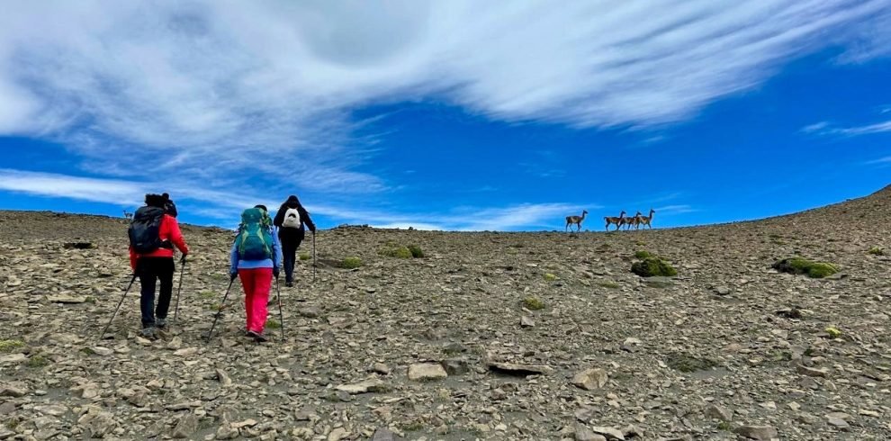 Cerro Frías-1 (portada)